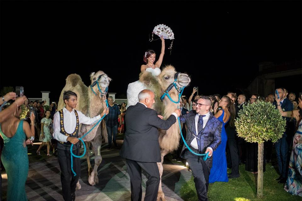 Wedding circus