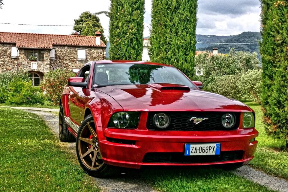 Mustang GT 2005
