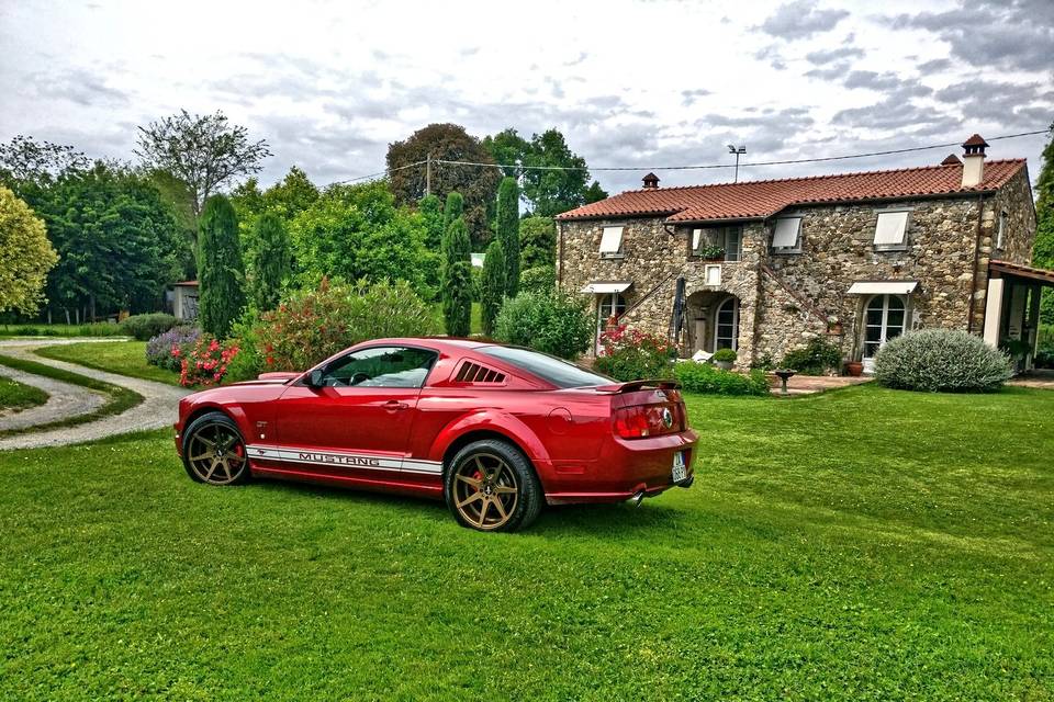 Mustang GT 2005