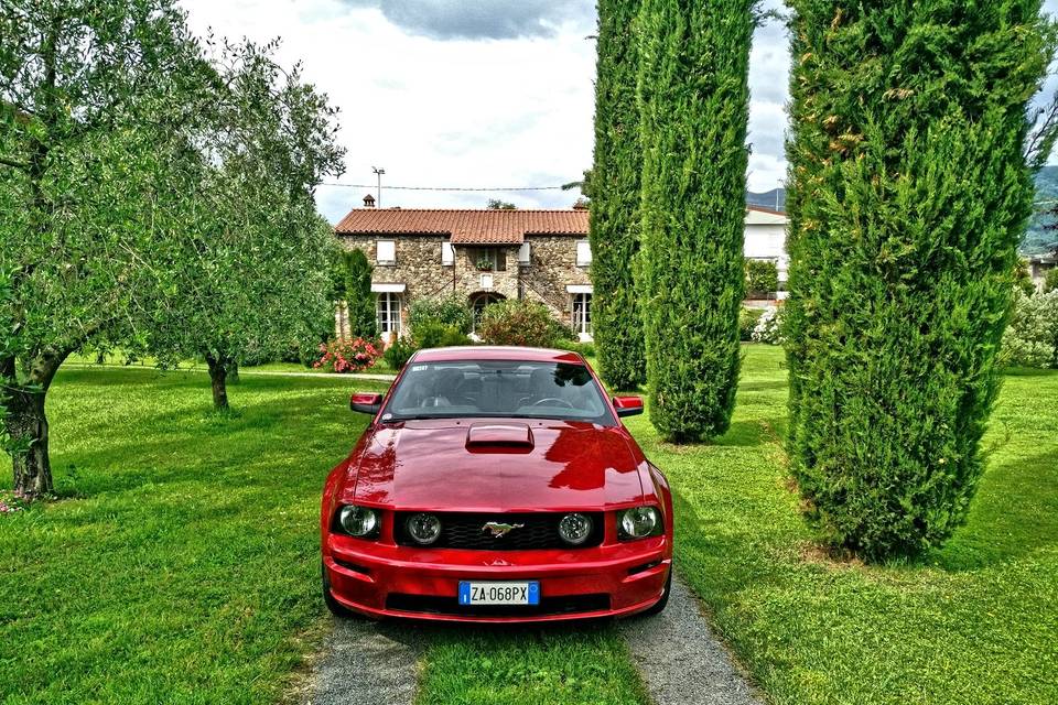 Mustang GT 2005