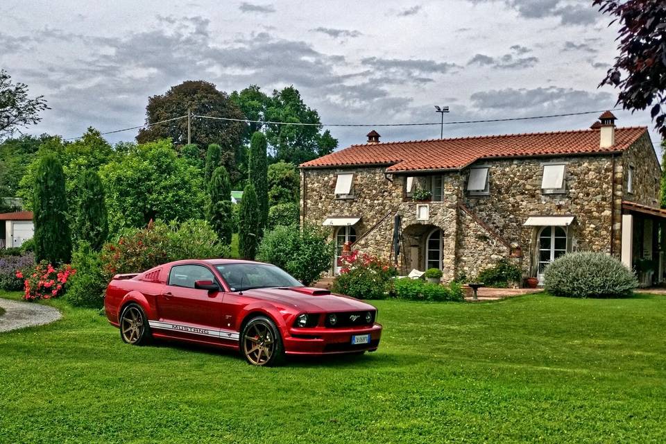 Mustang GT 2005