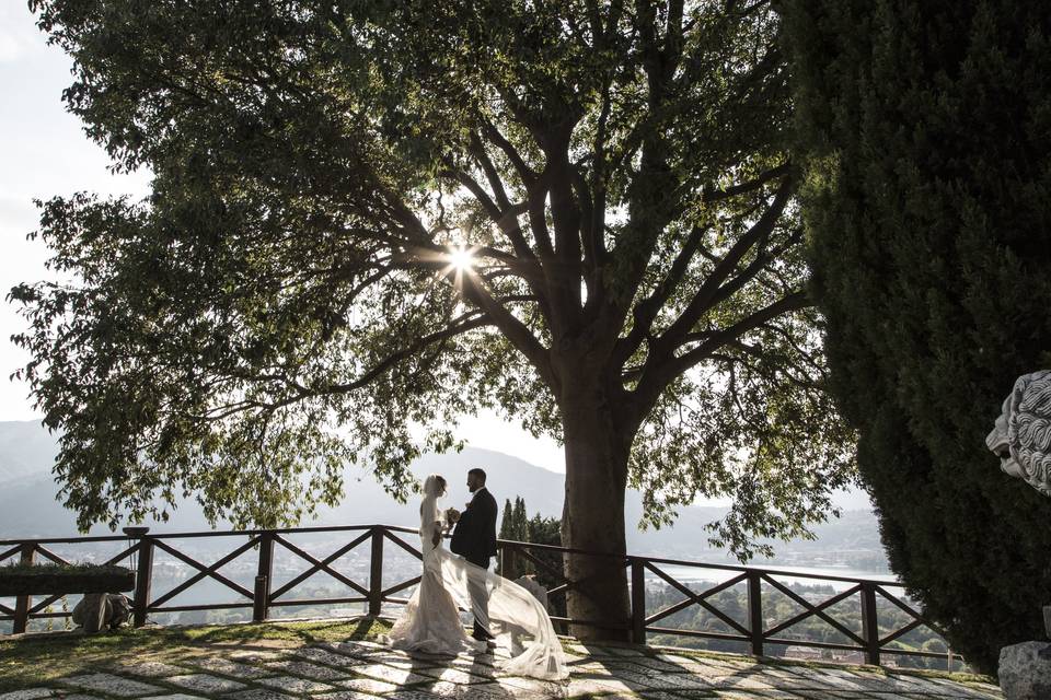 Wedding portrait