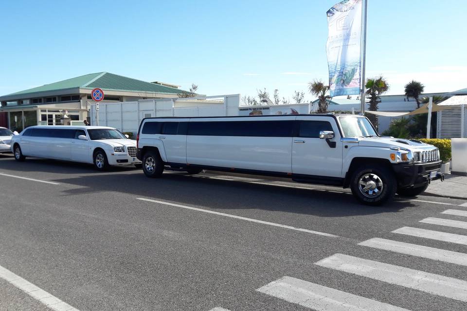 Flotta Limousine