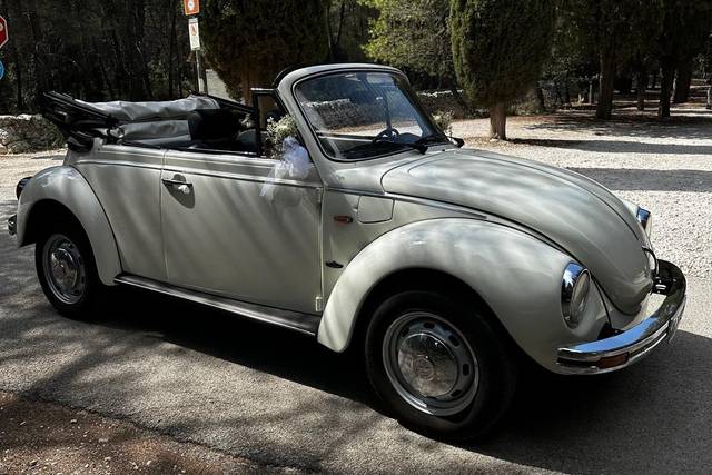 Maggiolino Wolkswagen cabrio