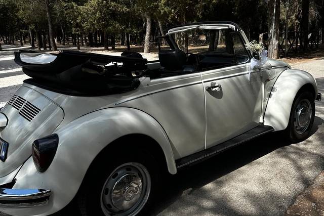 Maggiolino Wolkswagen cabrio