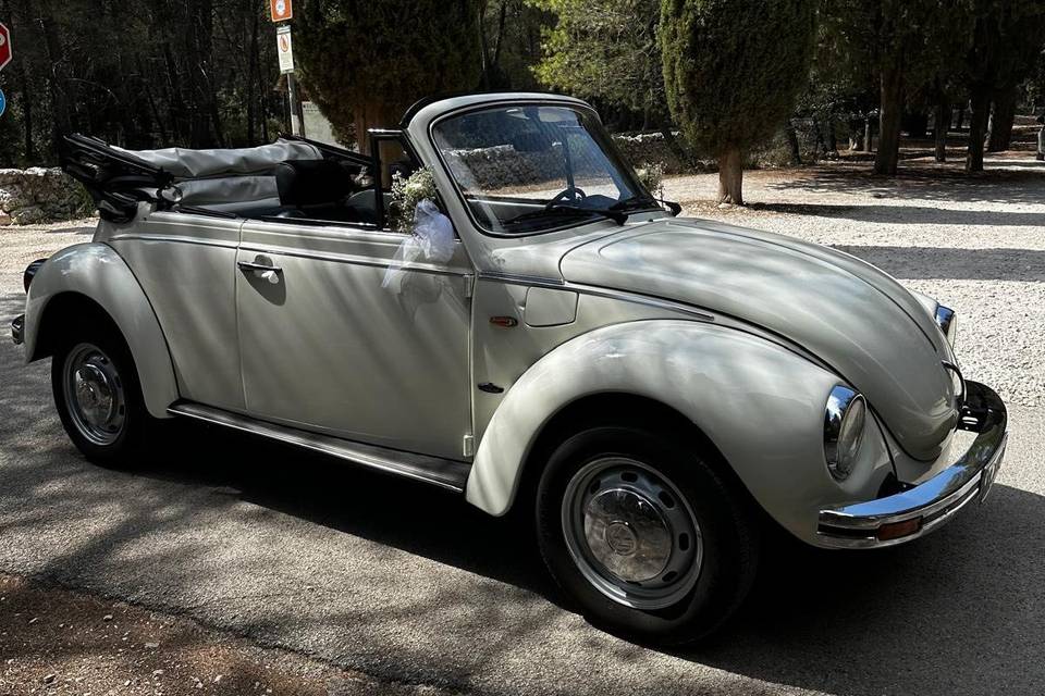 Maggiolino Wolkswagen cabrio