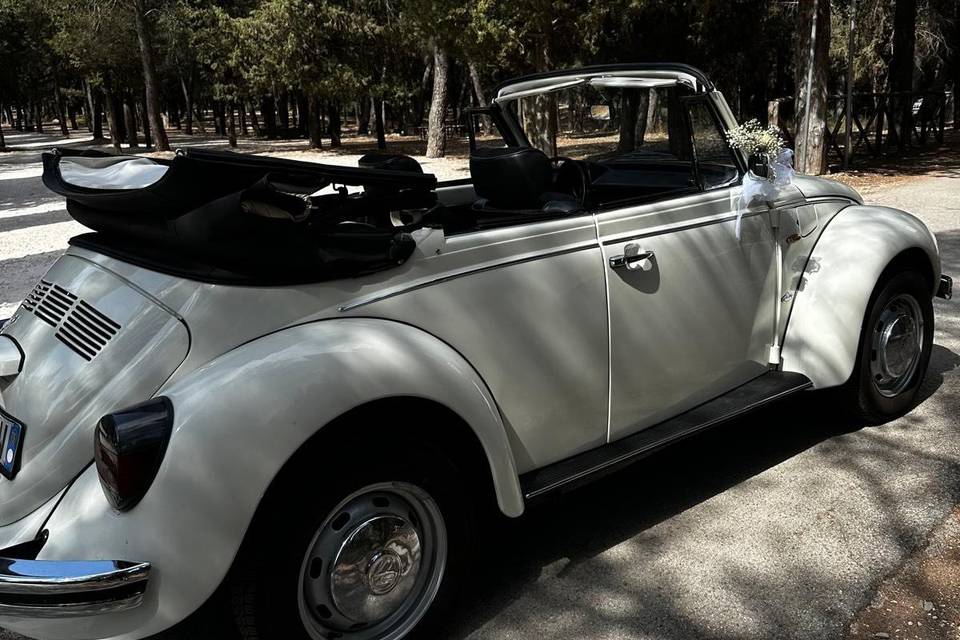Maggiolino Wolkswagen cabrio