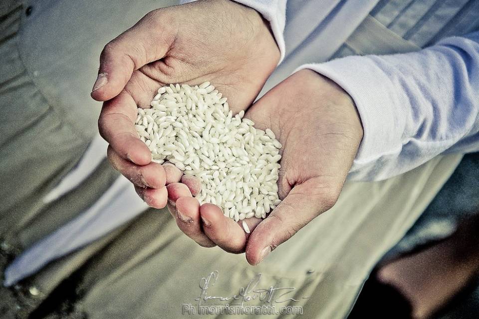 Fotografo di matrimonio