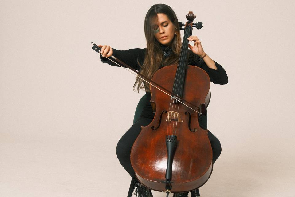 Violoncellista