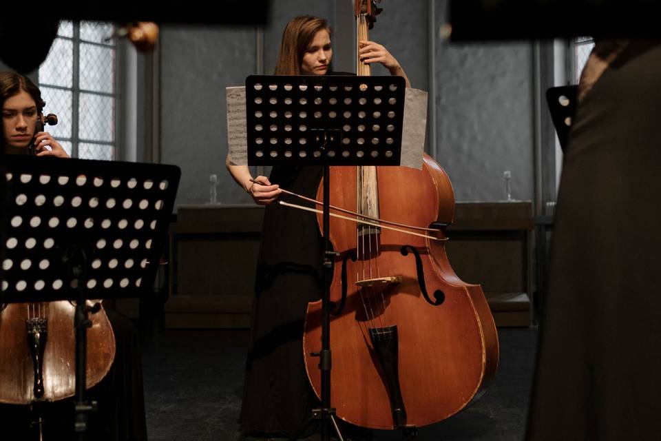 Violoncellista