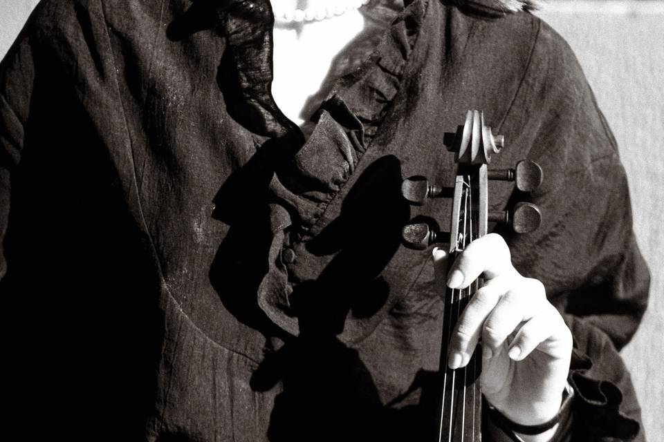 Violinista