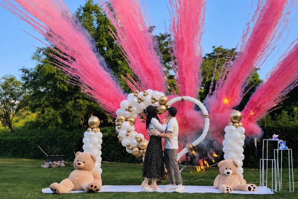 Gender Reveal
