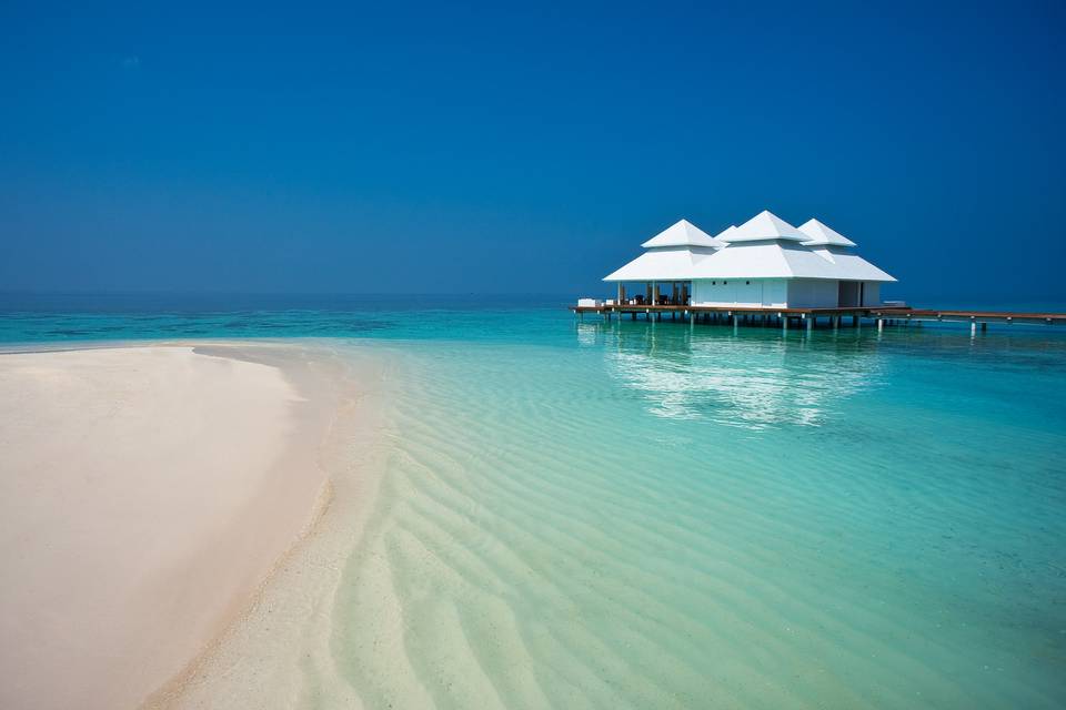 Maldive