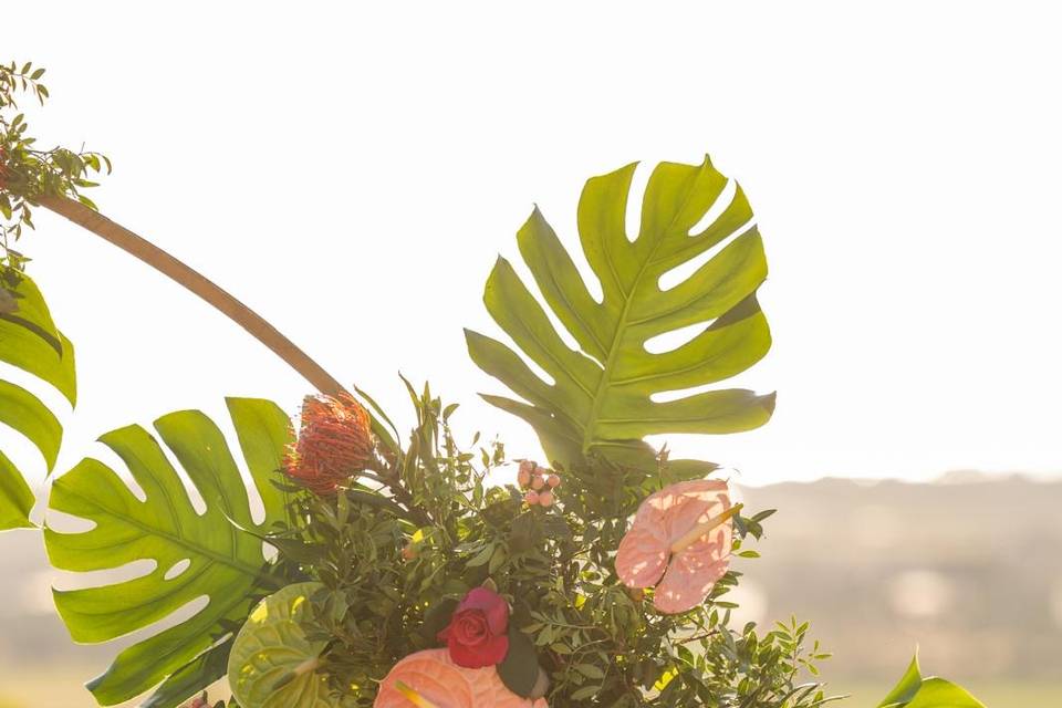 Fiori