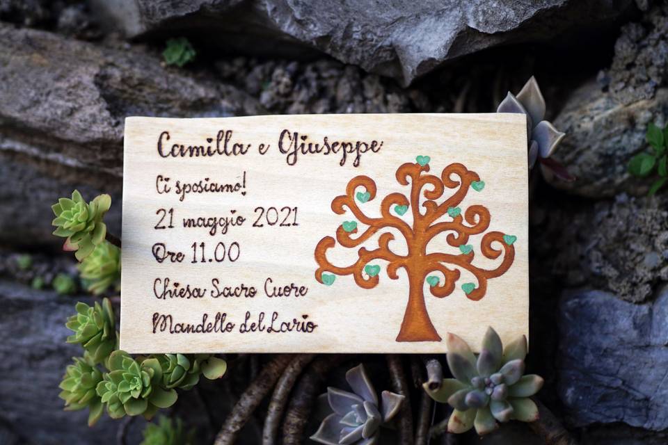 Partecipazione albero vita