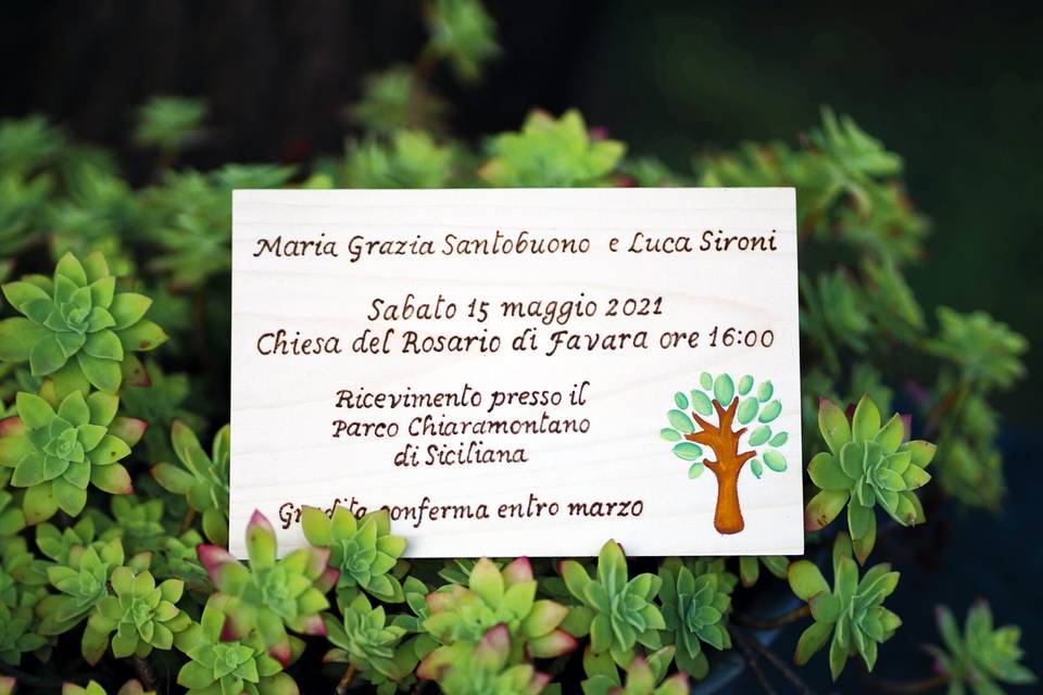 Partecipazione legno albero