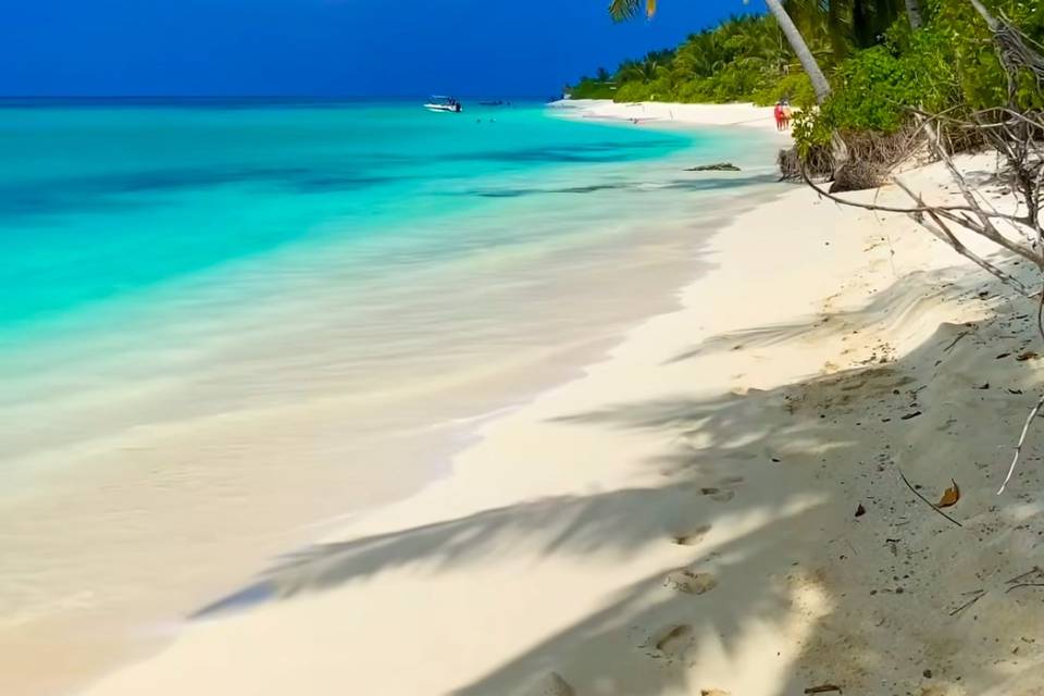 Maldive