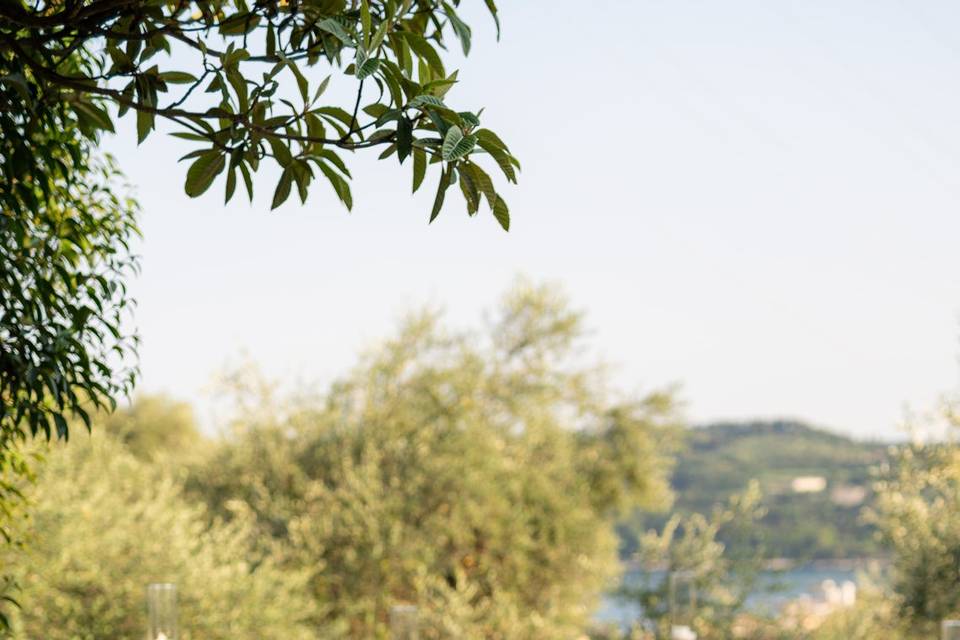 Tavolo sposi