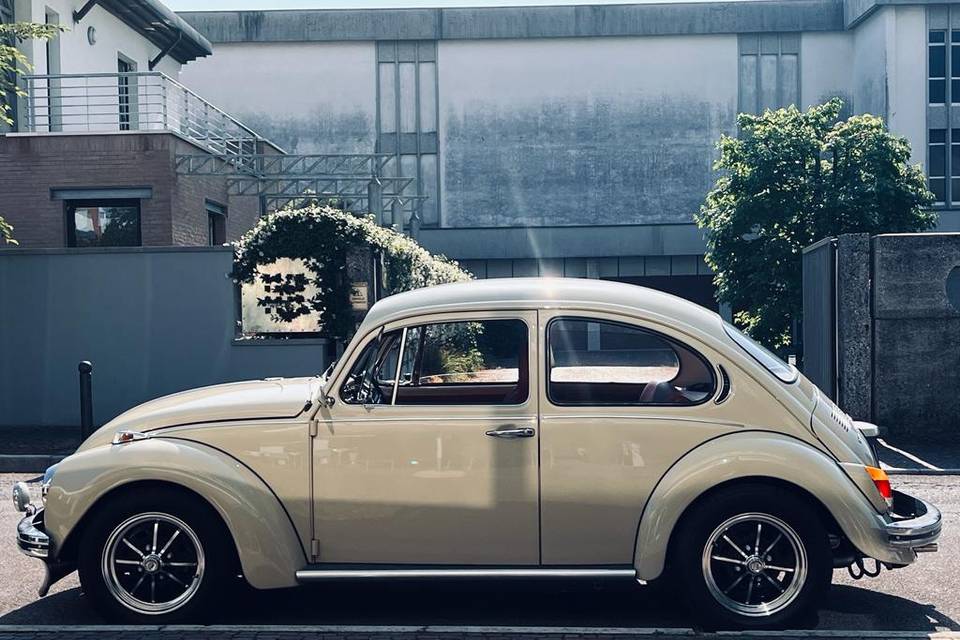 Maggiolino vw