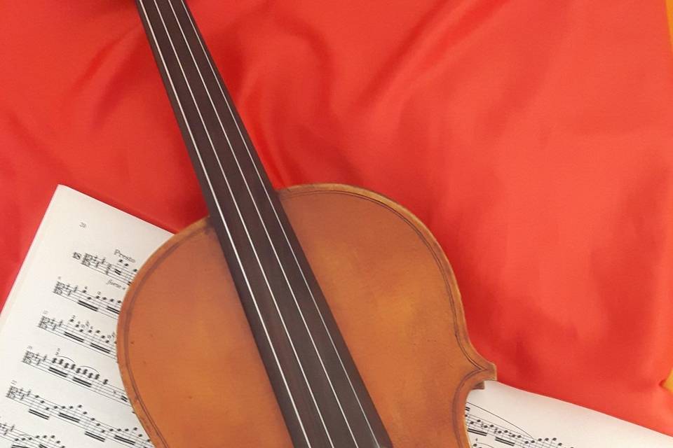 Viola e musica