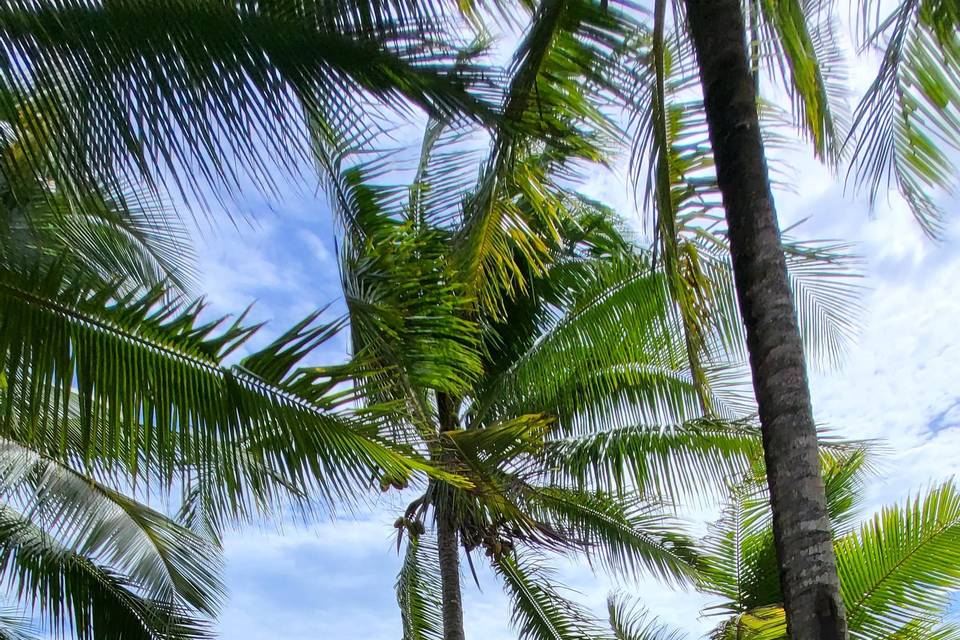 Corcovado-Costa Rica