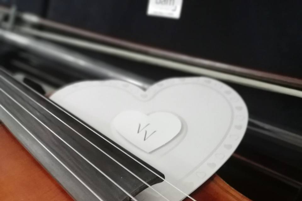 Viola for love