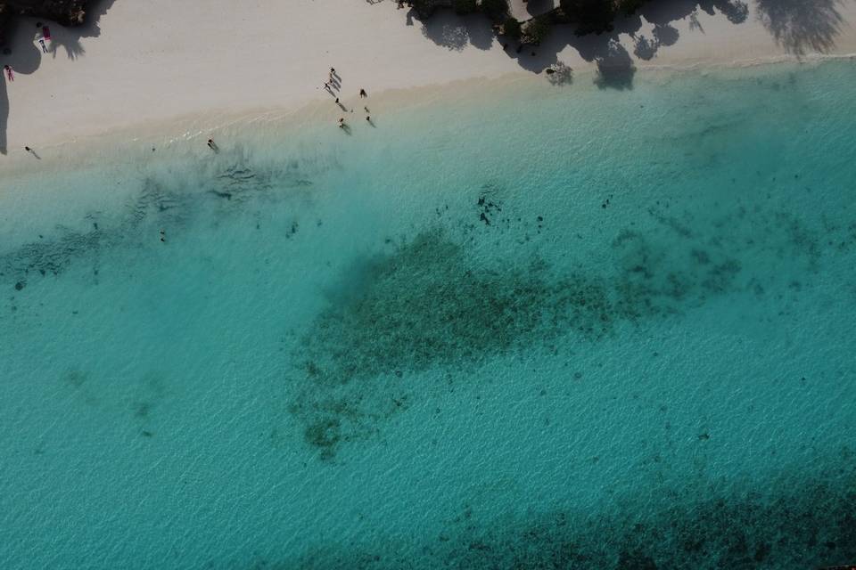 Zanzibar