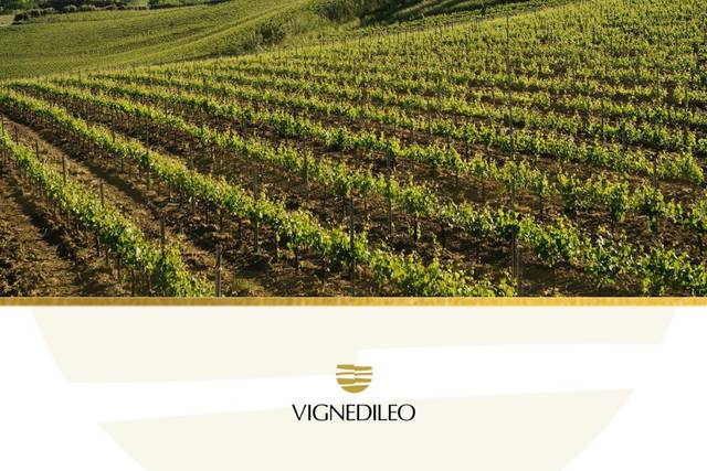 Vigneti