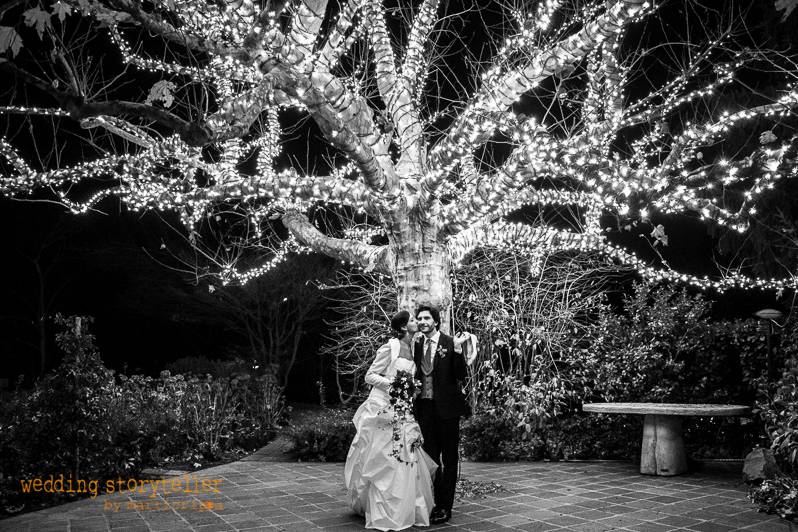 Wedding storyteller