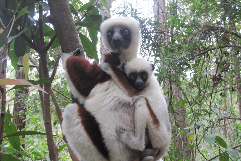 Incontri in Madagascar