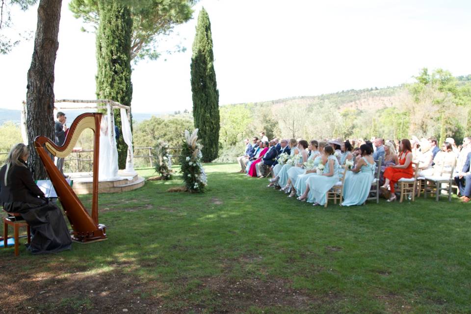 Almond Tree Celebrant