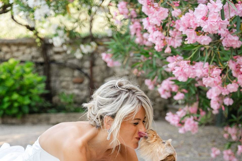 Sposa e cane