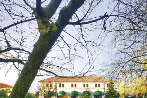 Villa Frassino