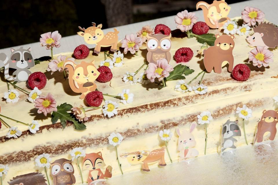Nude cake