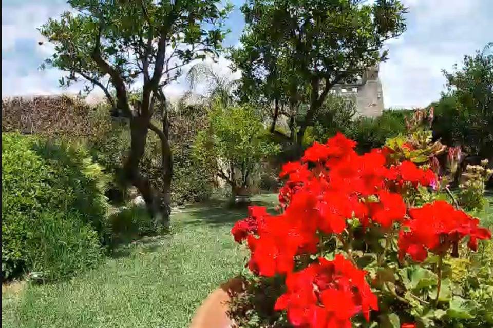 Giardino