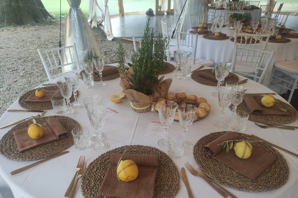 Mise en Place limoni