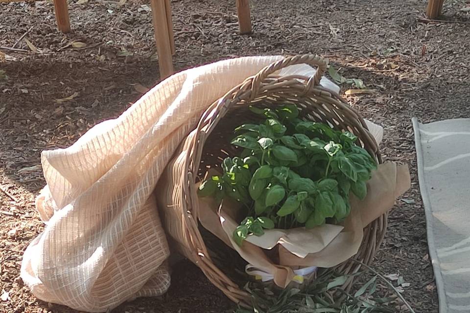 Angoli di natura