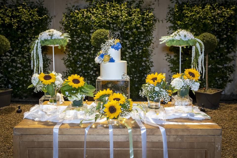 Tavolo Wedding Cake
