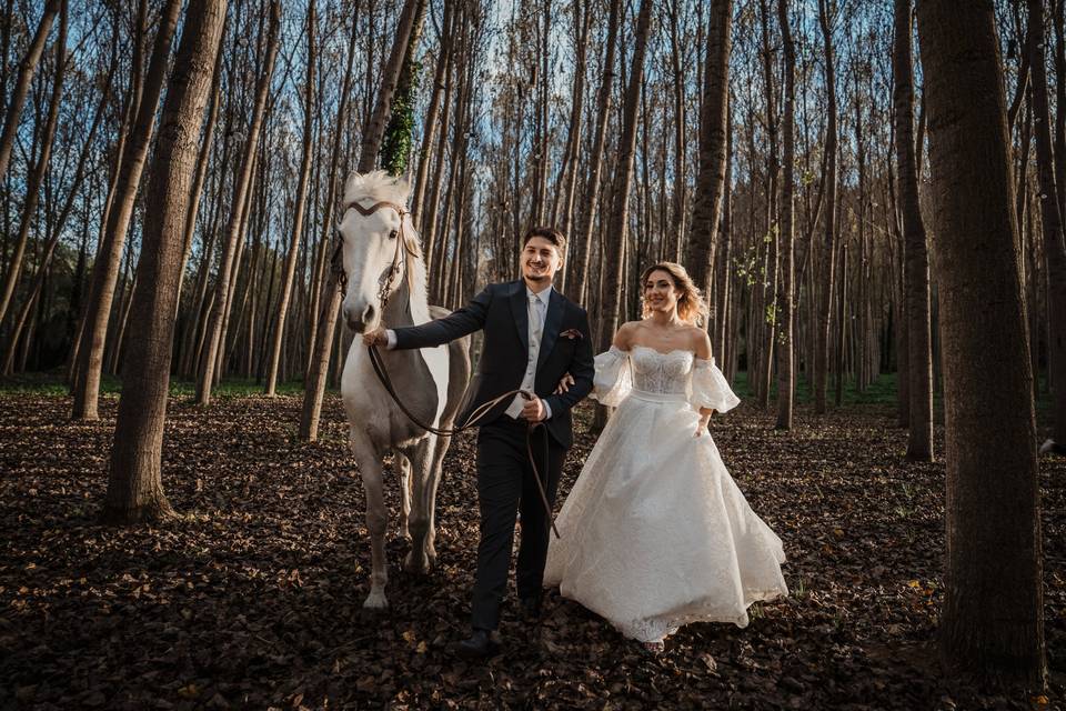 Wedding 2026