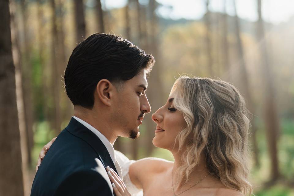 Wedding 2026