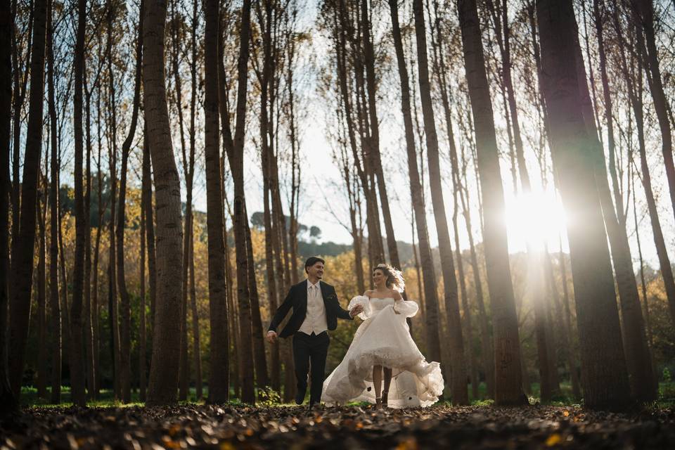 Wedding 2026