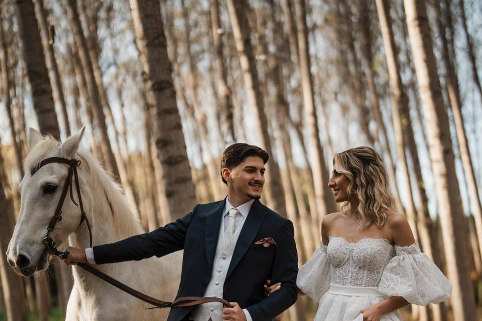 Wedding 2026