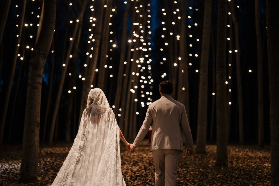 Wedding 2026