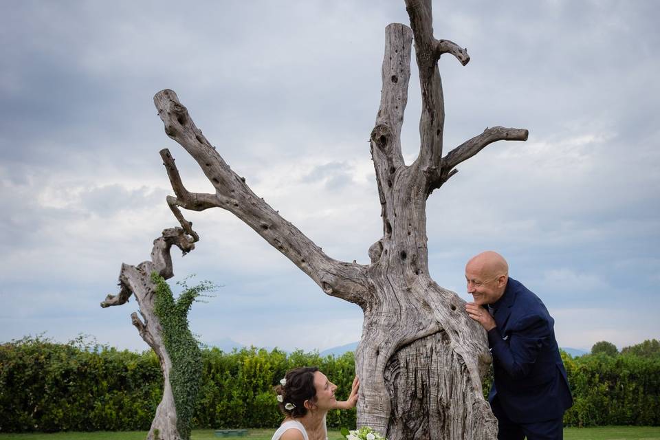 Francesco Melloni Fotografo