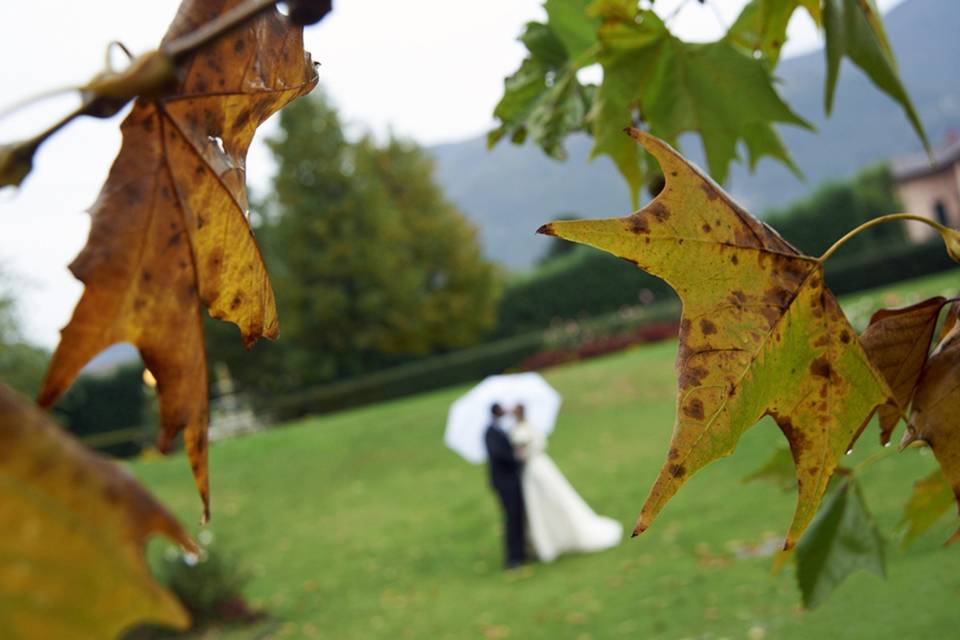 Pietro Gambera Fotografo