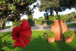 Villa dei Principi 1