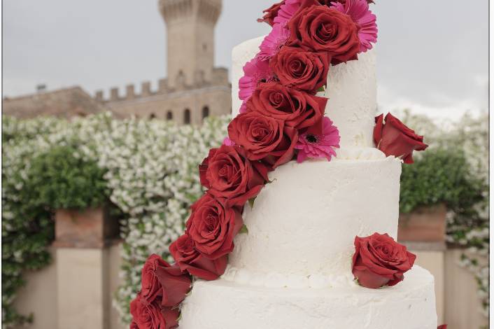 Torta con vista