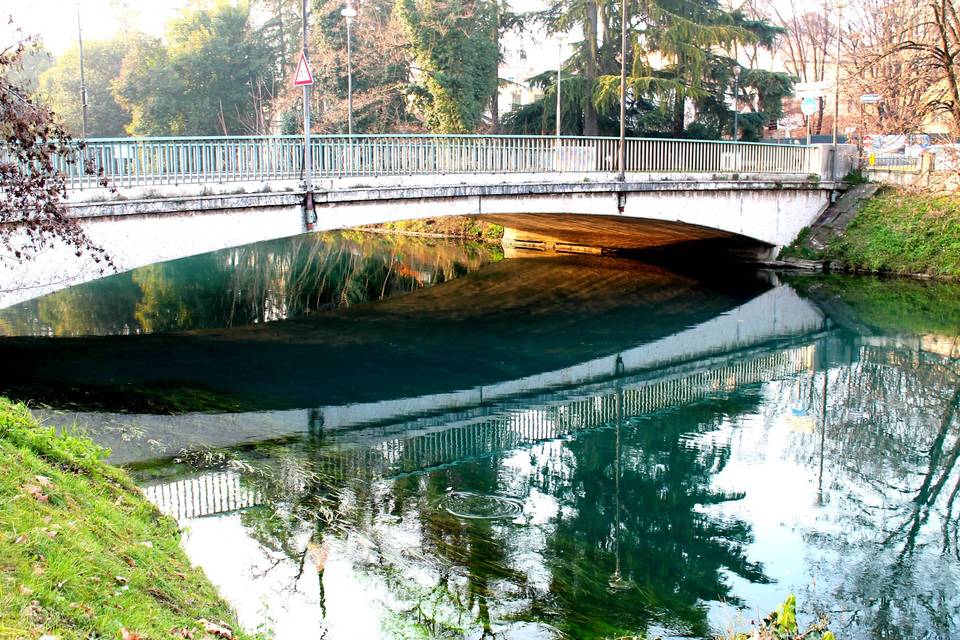 Treviso