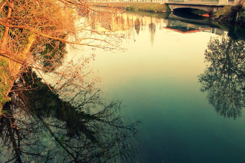 Lago.