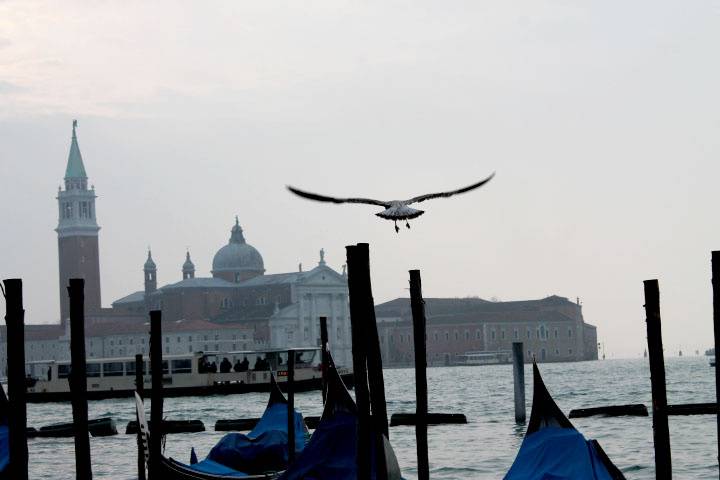 Le gondole veneziane